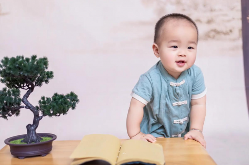 任丘可爱的企鹅宝宝